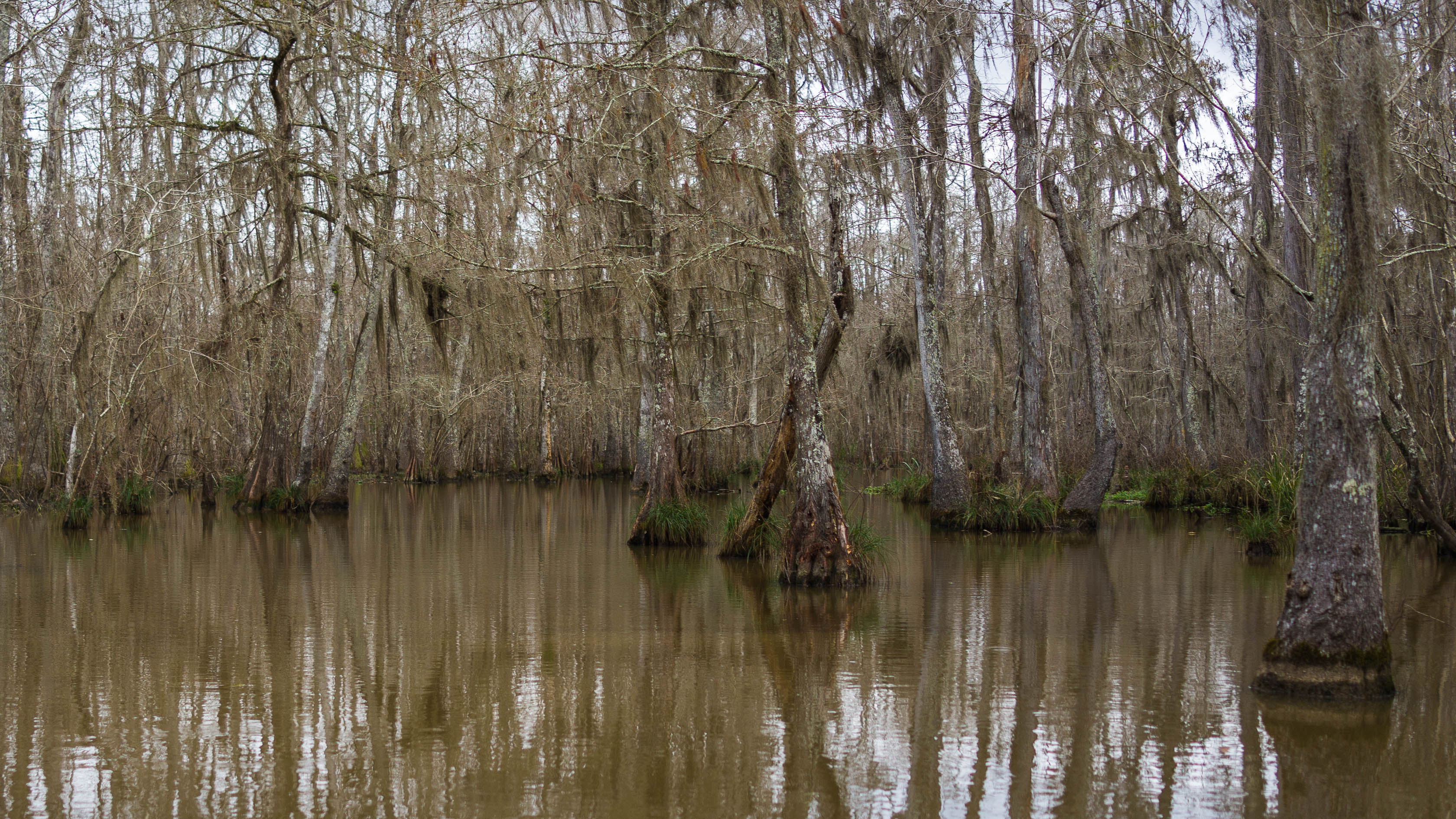 New Orleans